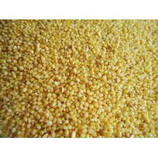 Navane(Foxtail Millet)-250gms